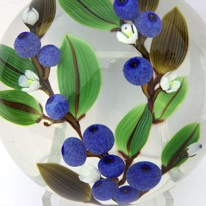 Blueberry Fields Forever PWT by Colin Richardson